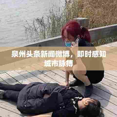 泉州头条新闻微博，即时感知城市脉搏