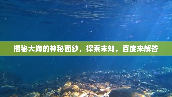 明目张胆 第7页