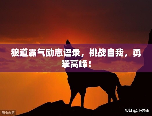 狼道霸气励志语录，挑战自我，勇攀高峰！