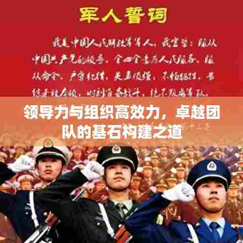 领导力与组织高效力，卓越团队的基石构建之道