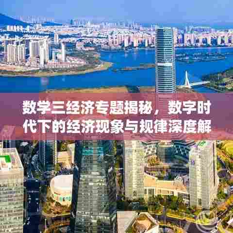 数学三经济专题揭秘，数字时代下的经济现象与规律深度解析