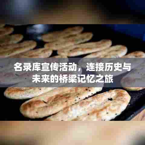 名录库宣传活动，连接历史与未来的桥梁记忆之旅