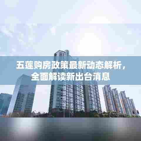 五莲购房政策最新动态解析，全面解读新出台消息
