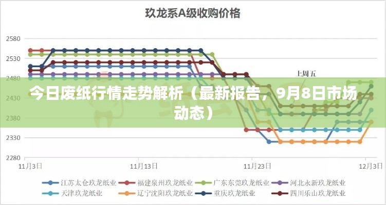 今日废纸行情走势解析（最新报告，9月8日市场动态）
