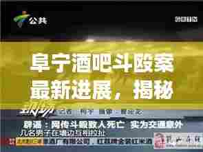 阜宁酒吧斗殴案最新进展，揭秘事件内幕及其社会影响