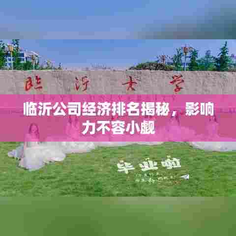 临沂公司经济排名揭秘，影响力不容小觑