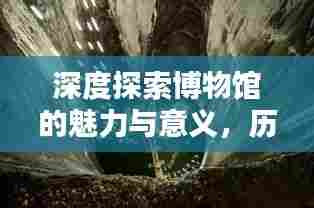 深度探索博物馆的魅力与意义，历史与文化的宝藏之地