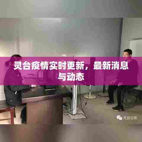 灵台疫情实时更新，最新消息与动态