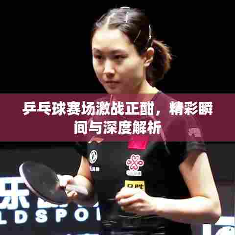 乒乓球赛场激战正酣，精彩瞬间与深度解析
