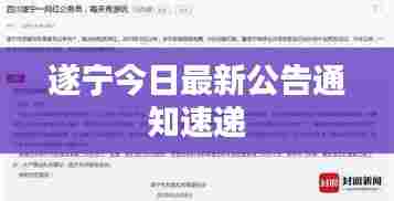 遂宁今日最新公告通知速递