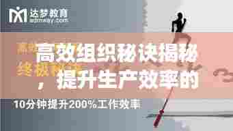 高效组织秘诀揭秘，提升生产效率的终极指南