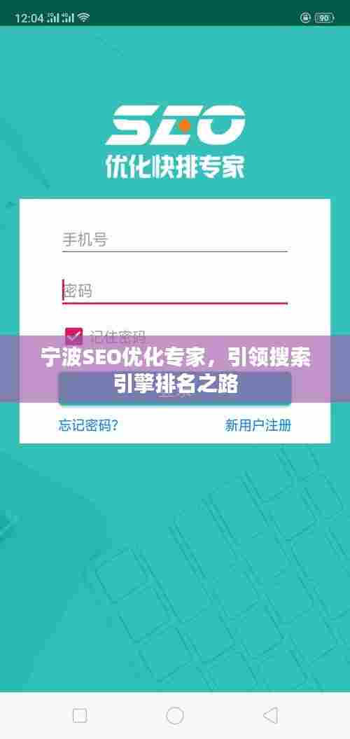 宁波SEO优化专家，引领搜索引擎排名之路