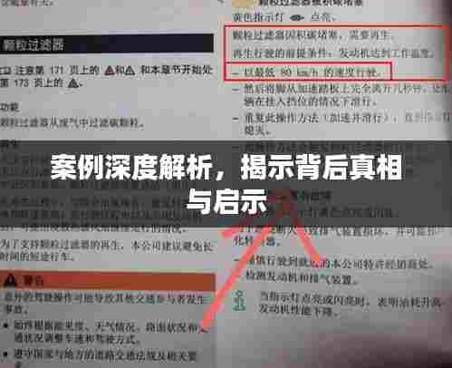 案例深度解析，揭示背后真相与启示