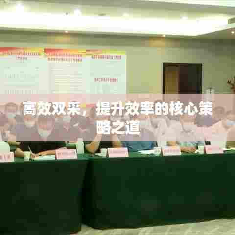 高效双采，提升效率的核心策略之道