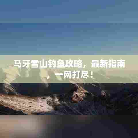 马牙雪山钓鱼攻略，最新指南，一网打尽！