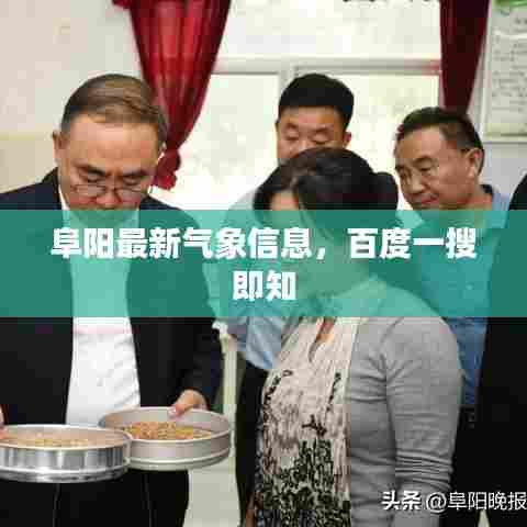 阜阳最新气象信息,百度一搜即知