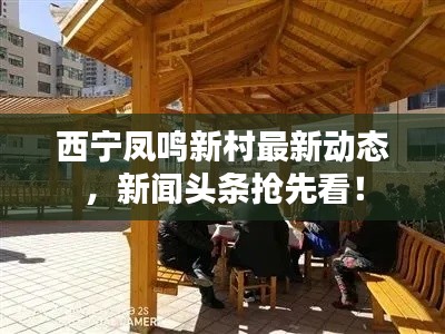 西宁凤鸣新村最新动态，新闻头条抢先看！