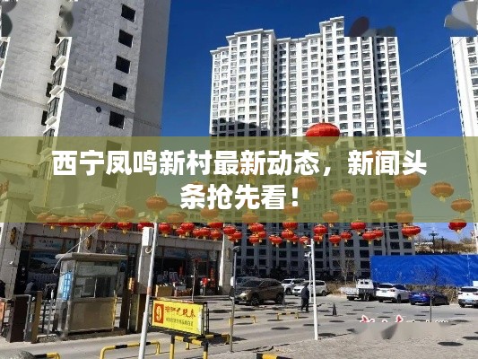 西宁凤鸣新村最新动态,新闻头条抢先看!