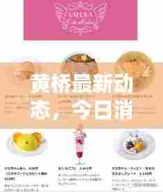 黄桥最新动态，今日消息一网打尽！