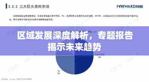 区域发展深度解析,专题报告揭示未来趋势