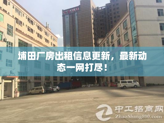 埔田厂房出租信息更新，最新动态一网打尽！