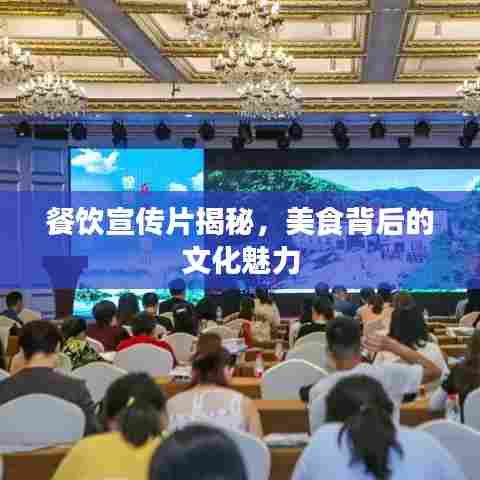 餐饮宣传片揭秘，美食背后的文化魅力