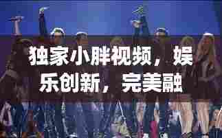 独家小胖视频，娱乐创新，完美融合的魅力展现