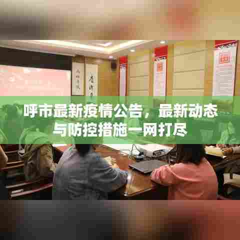 呼市最新疫情公告，最新动态与防控措施一网打尽