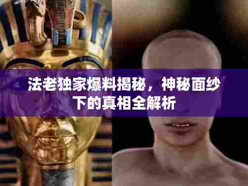法老独家爆料揭秘，神秘面纱下的真相全解析