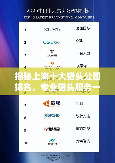 揭秘上海十大猎头公司排名,专业猎头服务一览无余!