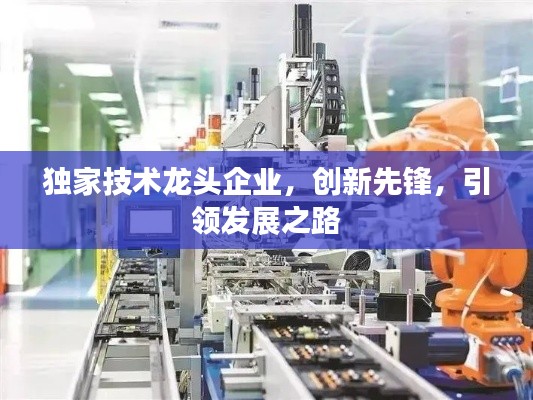 独家技术龙头企业，创新先锋，引领发展之路