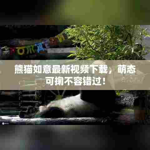 熊猫如意最新视频下载，萌态可掬不容错过！