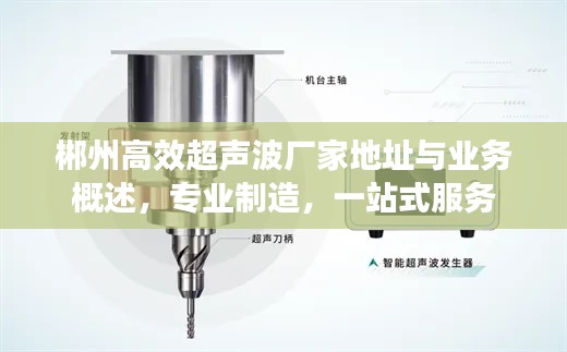 郴州高效超声波厂家地址与业务概述，专业制造，一站式服务