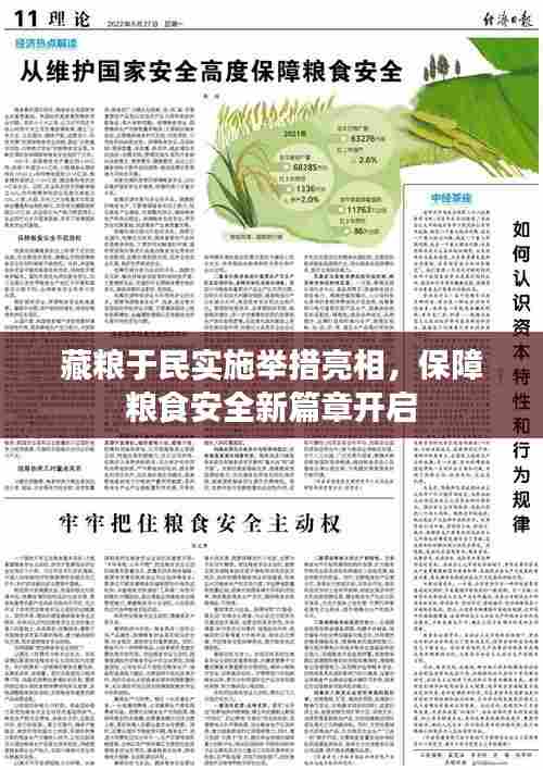 藏粮于民实施举措亮相，保障粮食安全新篇章开启