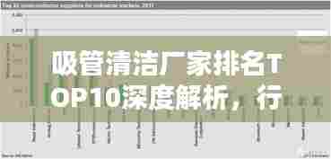 吸管清洁厂家排名TOP10深度解析，行业权威榜单揭秘！