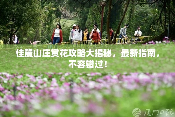 佳麓山庄赏花攻略大揭秘，最新指南，不容错过！