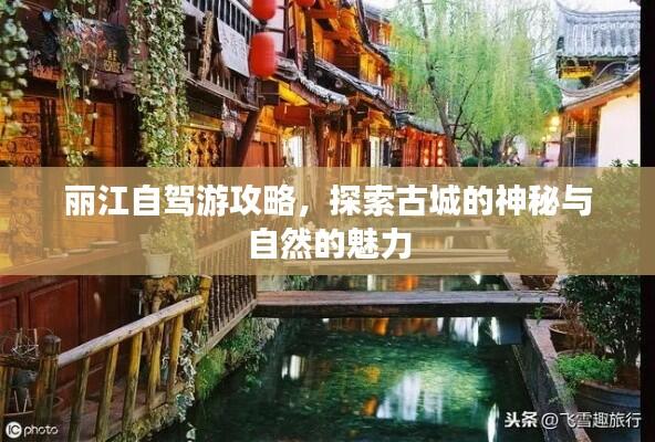 丽江自驾游攻略，探索古城的神秘与自然的魅力