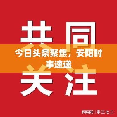 今日头条聚焦,安阳时事速递