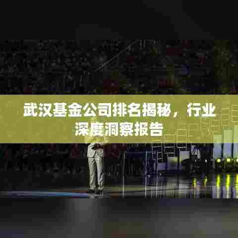 武汉基金公司排名揭秘，行业深度洞察报告