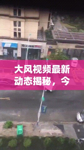大风视频最新动态揭秘,今日消息一网打尽!