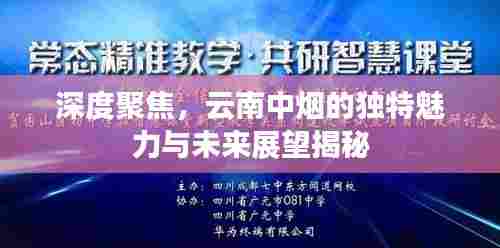 深度聚焦，云南中烟的独特魅力与未来展望揭秘
