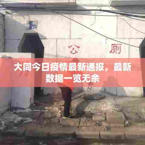 大同今日疫情最新通报，最新数据一览无余