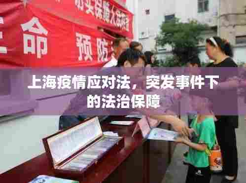 上海疫情应对法，突发事件下的法治保障