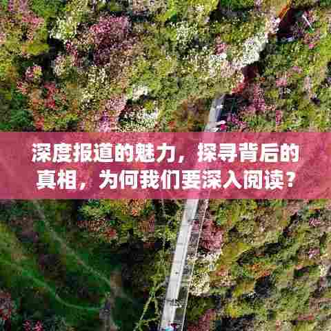 深度报道的魅力，探寻背后的真相，为何我们要深入阅读？