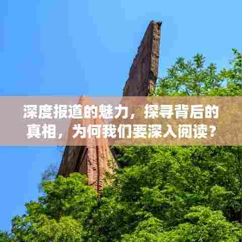 深度报道的魅力,探寻背后的真相,为何我们要深入阅读?