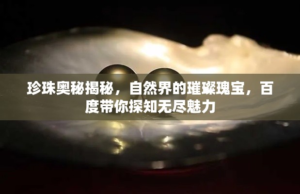珍珠奥秘揭秘，自然界的璀璨瑰宝，百度带你探知无尽魅力