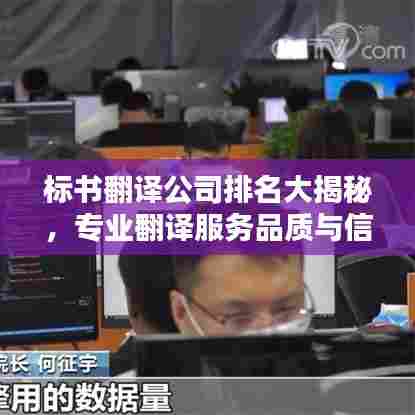 标书翻译公司排名大揭秘，专业翻译服务品质与信誉之战