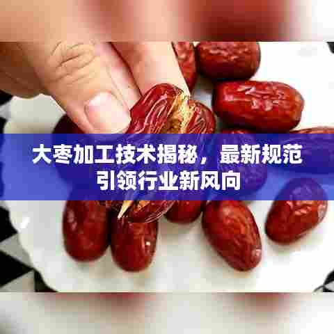 大枣加工技术揭秘，最新规范引领行业新风向