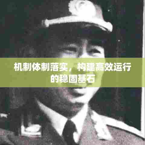 机制体制落实，构建高效运行的稳固基石