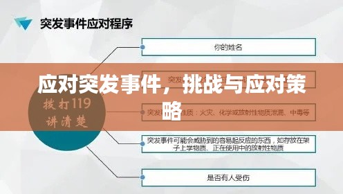 应对突发事件，挑战与应对策略
